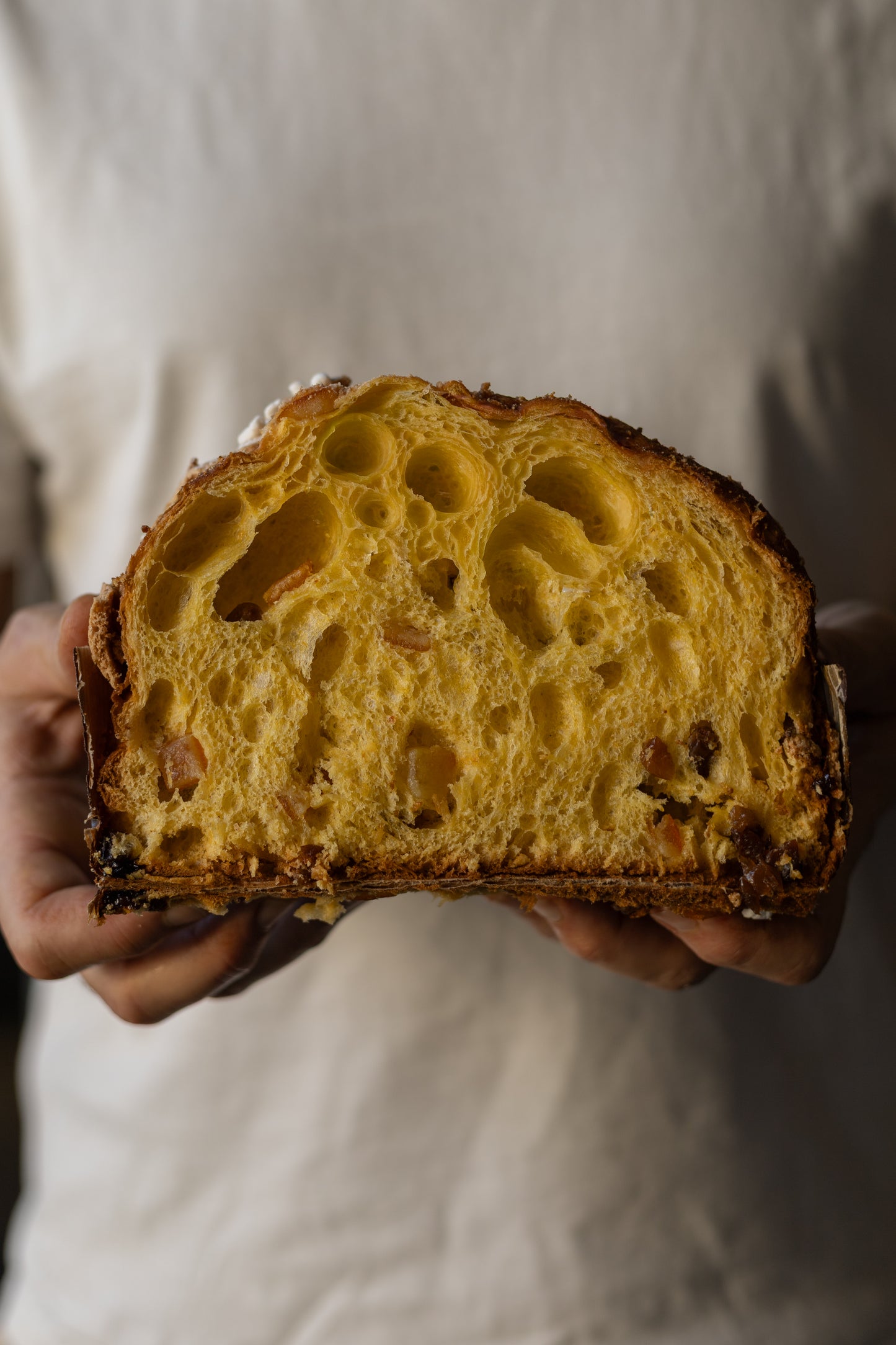 Piemontese - panettone classico con uvetta e canditi